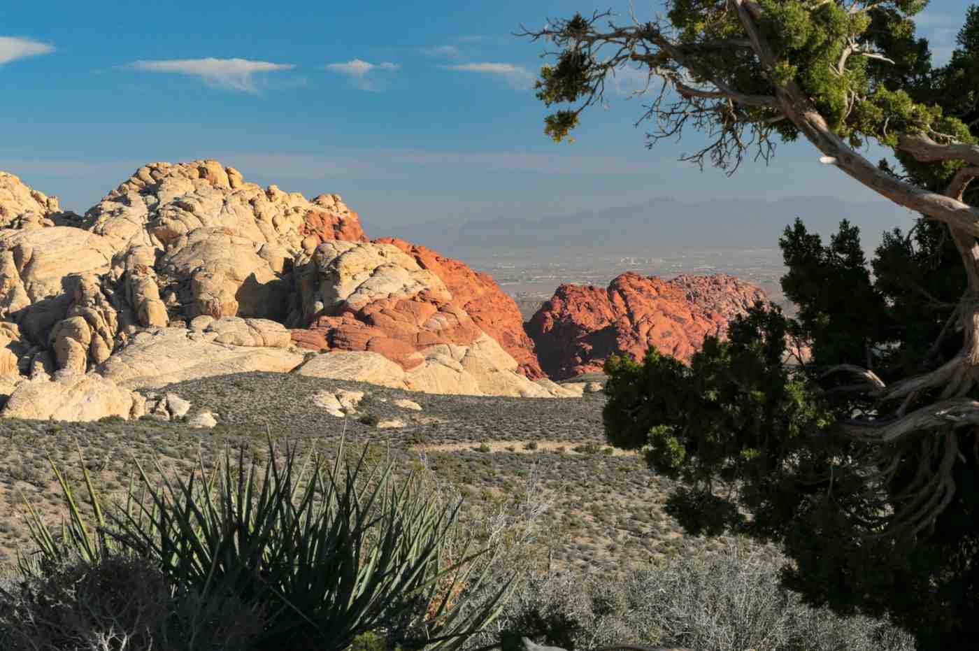 Red Rock Canyon