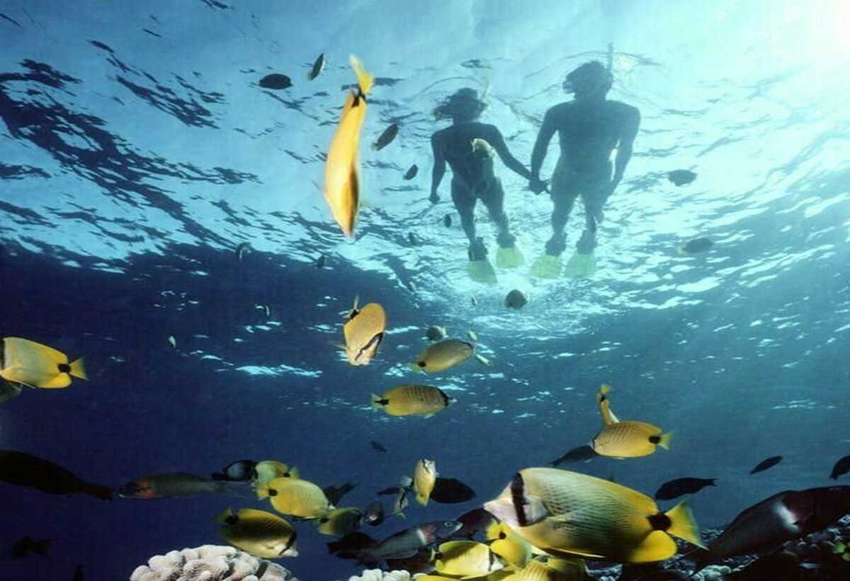 Adventure 1