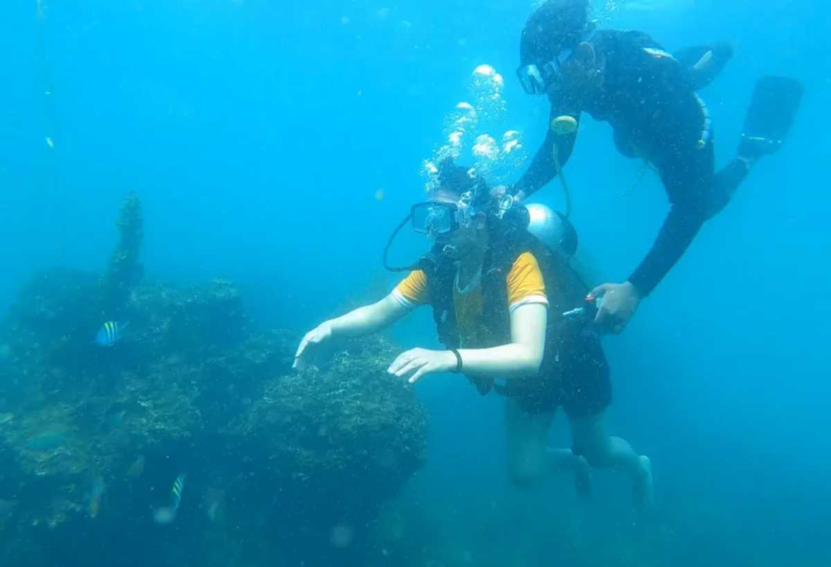 Adventure 1