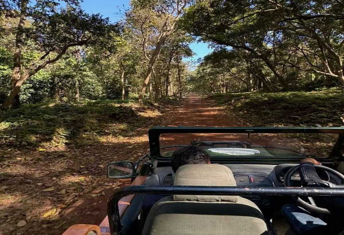 Adventure 1