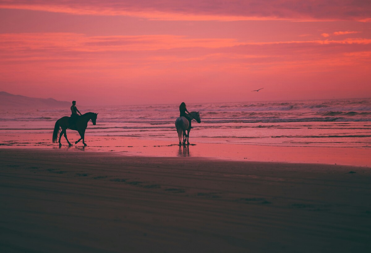 Adventure 1