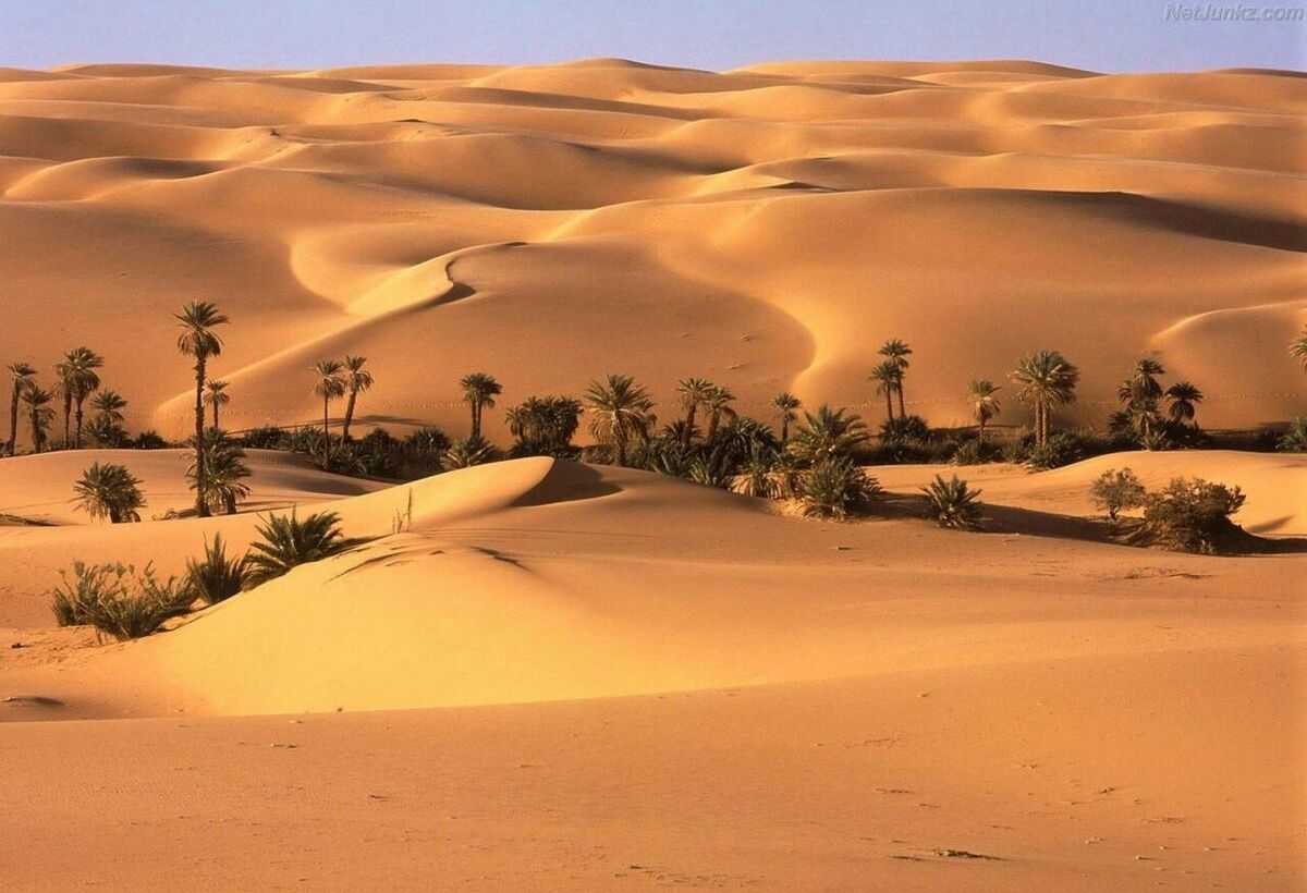 Thar Desert